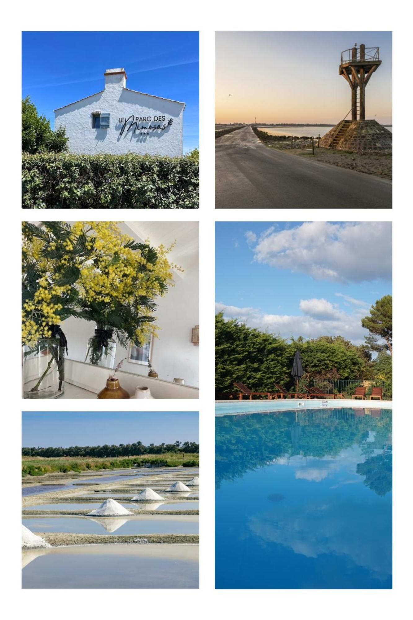 Le Parc Des Mimosas Villa Noirmoutier-en-l'Ile Exterior photo